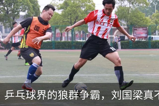 乒乓球界的狼群争霸，刘国梁真不是个“胖子