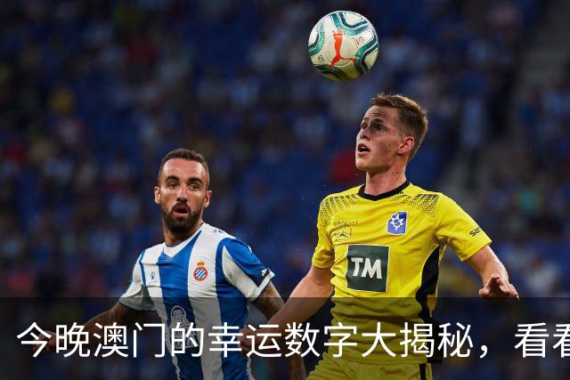 今晚澳门的幸运数字大揭秘，看看你能否赢得大奖！