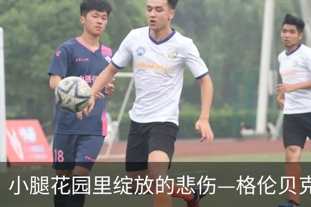 小腿花园里绽放的悲伤—格伦贝克与伤痛的对话