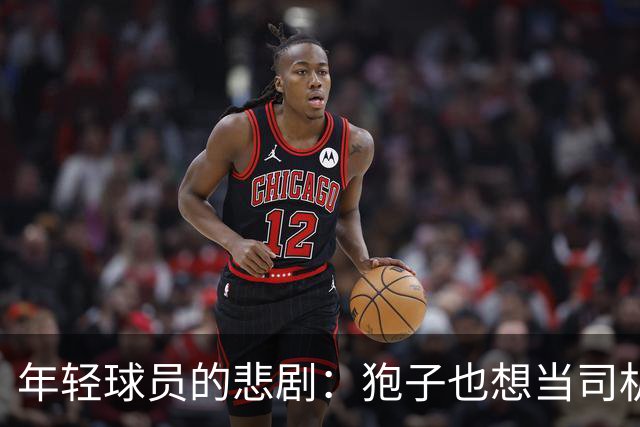年轻球员的悲剧：狍子也想当司机？