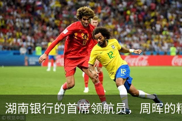湖南银行的首席领航员，周晖的精彩履历大揭秘