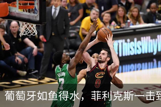 葡萄牙如鱼得水，菲利克斯一击致命！